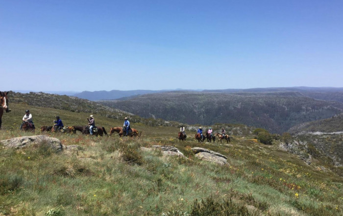 3 Day Ride | Brumby Sightseeing Tour